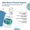ambrosial-calcium-pro-vitamin-d3-tablets-71ooYZ4Q9xL.jpg