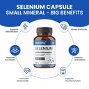 selenium-200-mcg-l-selenomethionine-caps-71LyuuVf+ML.jpg