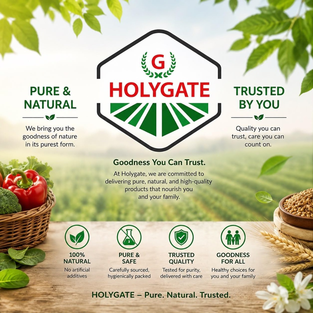 holygate-makhana-500g-pack-of-5-x-100g-p-71k6pZ0+HBL.jpg