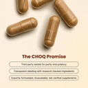 choq-action-20-energy-circulation-suppor-3.jpg