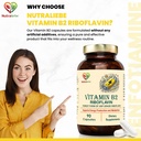 vitamin-b2-riboflavin-high-potency-suppo-61xS-vSx41L.jpg