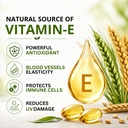 neat-everyday-wheat-germ-oil-cold-presse-81TeVnOvTyL.jpg