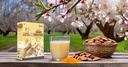 instant-badam-sonti-mix-milk-drink-kashm-611CZPEfvdL.jpg