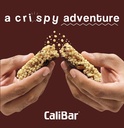 calibar-10g-protein-bar-roasted-coffee-b-81nzOv6flFL.jpg