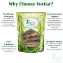 yuvika-hadjod-hadjora-gangdi-cissus-quad-71fRhGmq4lL.jpg