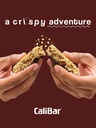calibar-20g-10g-protein-bar-almond-choco-714mqWrhMPL.jpg