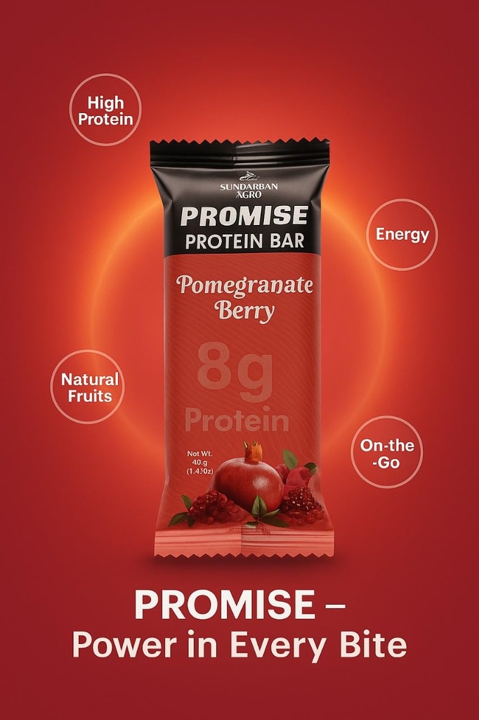 sundarban-agro-promise-protein-bar-9g-pl-61ryu5sO3YL.jpg