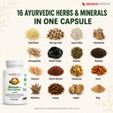 regain-maxx-capsules-shilajit-ashwagandh-71orMSwAM+L.jpg