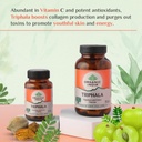 a-tata-product-organic-india-triphala-ca-61sD2TA8mML.jpg