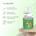 dr-morepen-gokshura-tablets-1000-mg-trib-71HDHmqqfXL.jpg