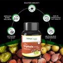 harc-herbal-canada-triphala-tablets-enha-618ptsw6t-L.jpg