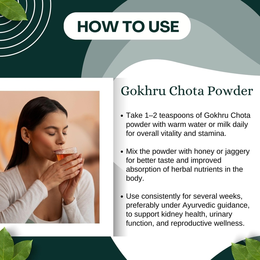 birju-mahavir-gokhru-powder-gokshura-pow-71+Qr-W1MuL.jpg