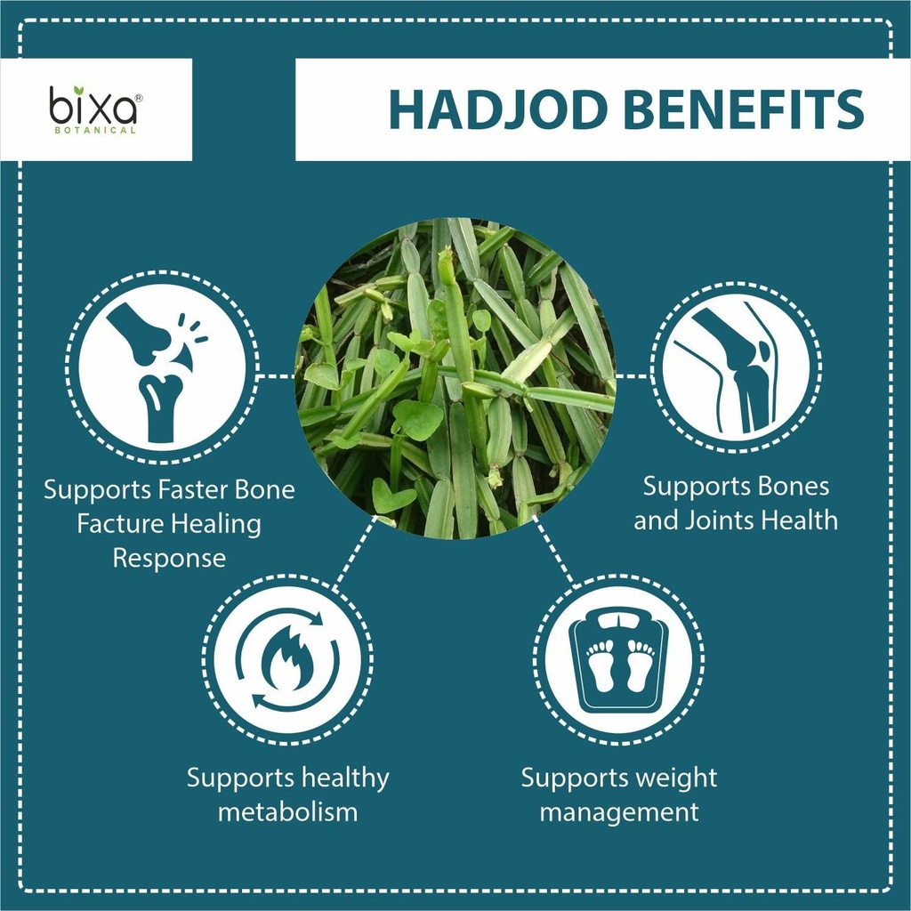 hadjod-powder-1kg-supports-bone-strength-71plDVioT9L.jpg
