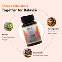 sitaram-ayurveda-pranah-capsules-ayurved-61FQdO5kmkL.jpg