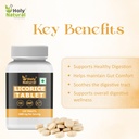 holy-natural-licorice-tablets-120-tablet-715bcvbpOhL.jpg