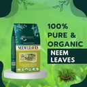 brijbooti-neem-leaves-200-gram-leaf-neem-81xHKv4jK+L.jpg