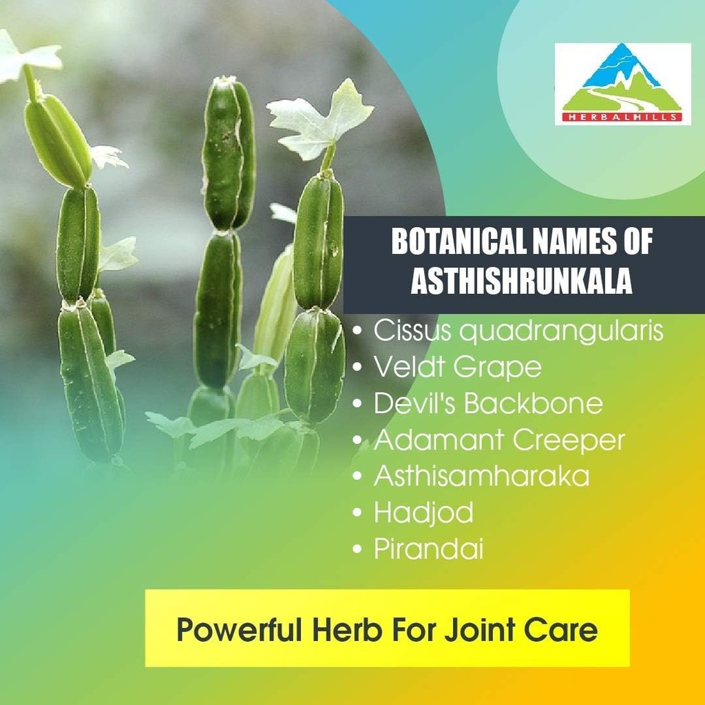 herbal-hills-asthishrunkala-powder-cissu-61DPPDtmTwL.jpg
