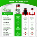 humming-herbs-maca-with-panax-ginseng-su-81fiF59VlgL.jpg