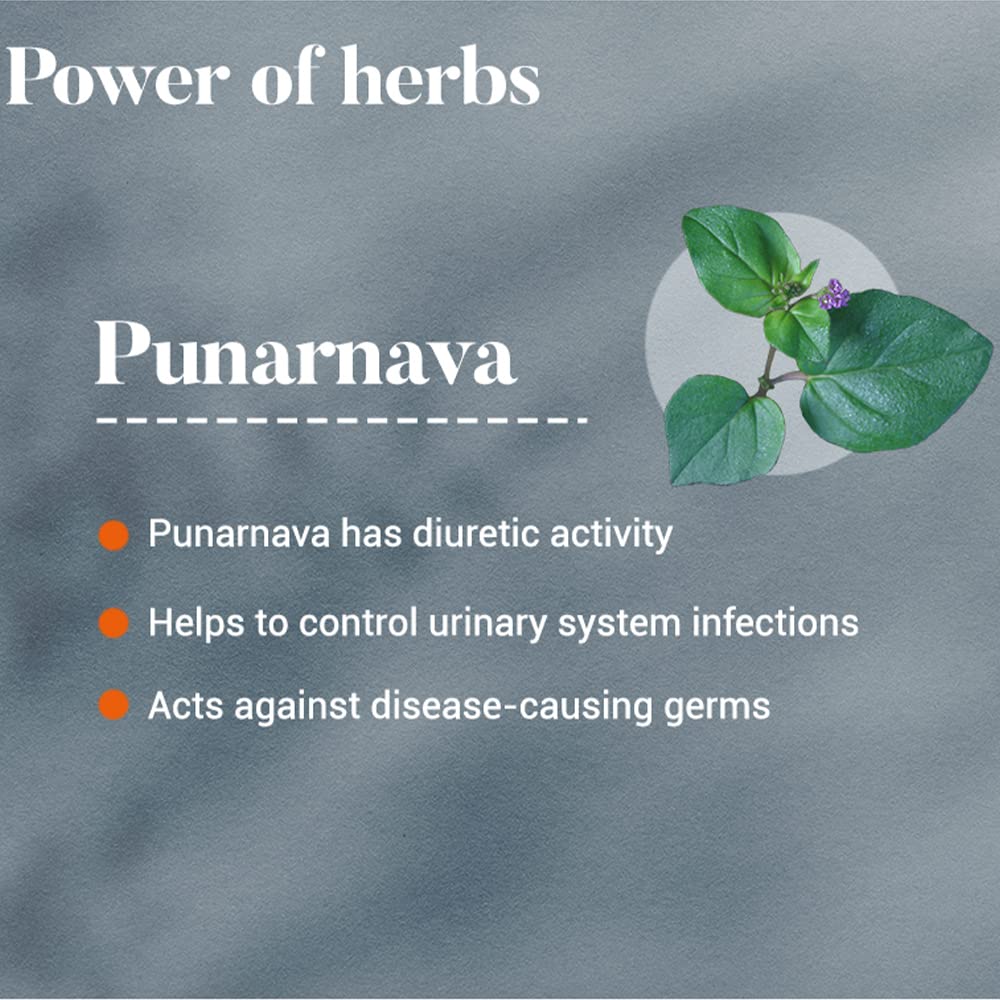 himalaya-punarnava-tablets-60-count-pack-61-1KzT9zGL.jpg