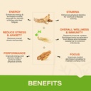 myfitfuel-ginseng-triple-strength-ginsen-61aG6pREzvS.jpg