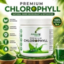 rudraa-forever-chlorophyll-powder-100gm--718qFglixDL.jpg