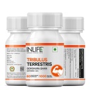 inlife-tribulus-terrestris-supplement-10-81AtO4mtv1L.jpg
