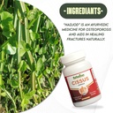cissus-capsules-by-rajasthan-aushdhalaya-71OnhYR7mDL.jpg