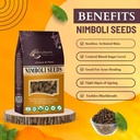 birju-mahavir-1-kg-neem-seeds-neem-nibol-81sQ1ba+ijL.jpg