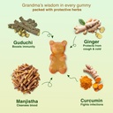 babyorgano-ayurvedic-immunity-gummies-fo-71MpNaw6o7L.jpg