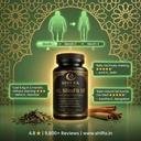 al-slimfit-sf-ayurvedic-fat-burner-60-ca-81QzWlUI-nL.jpg