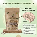 aromatica-india-white-kaunch-beej-mucuna-712UFqVSLhL.jpg
