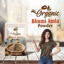 bhumi-amla-powder-100g-organic-bhumi-aml-61gdkOaXX8L.jpg