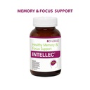intellec-tablets-for-healthy-memory-and--61sn7DzlEnL.jpg