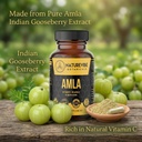 amla-capsules-180-veg-capsules-by-nature-81ZWLILU2ML.jpg