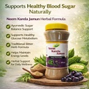 herbals-neem-karela-jamun-powder-pack-of-711UnLsCaML.jpg