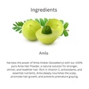 khadi-amla-hair-powder-pack-100g-natural-61KPUQUa4xL.jpg