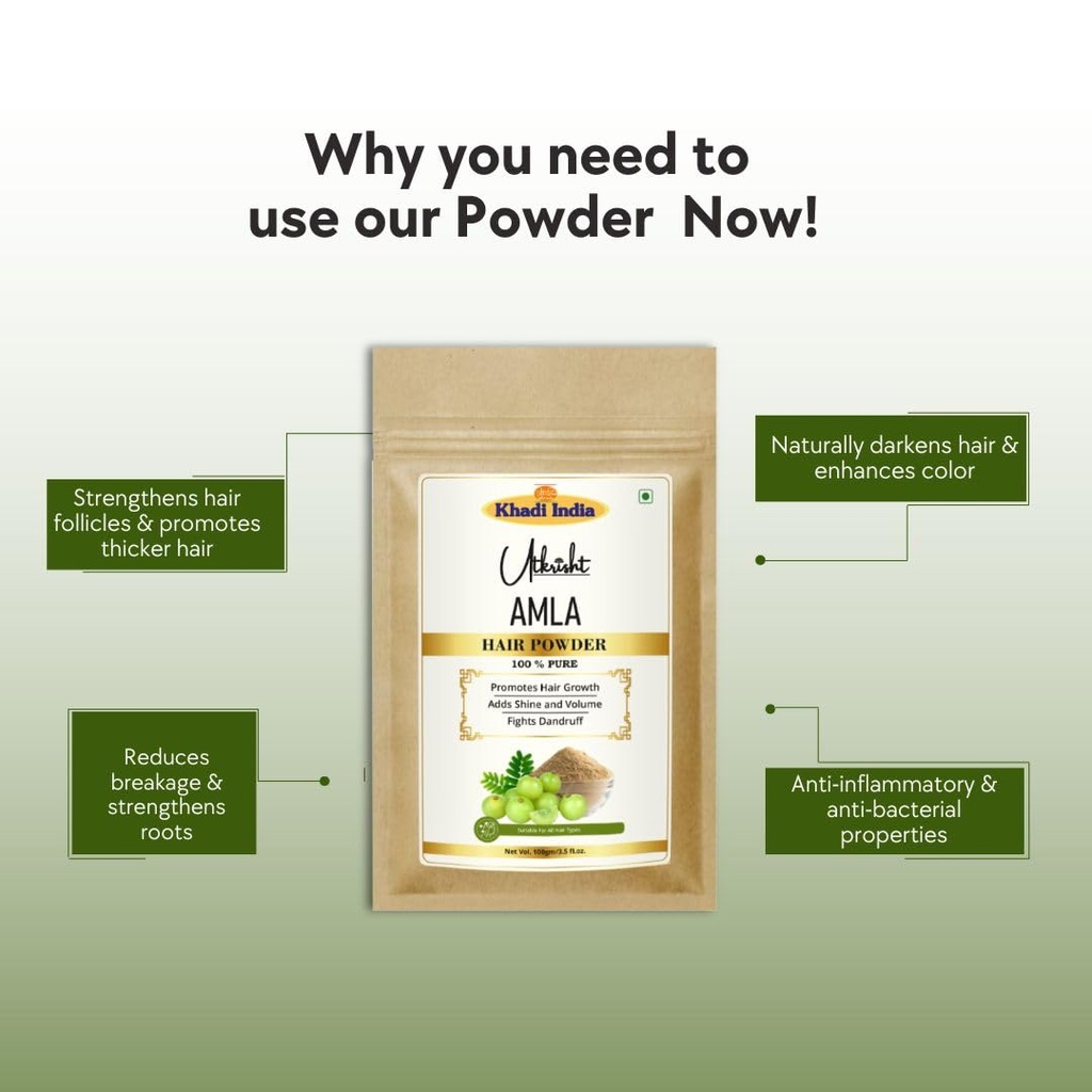khadi-amla-hair-powder-pack-100g-natural-61zA7Ftxp9L.jpg