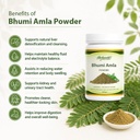 bhumi-amla-powder-premium-herbal-powder--61JoKqDBmZL.jpg