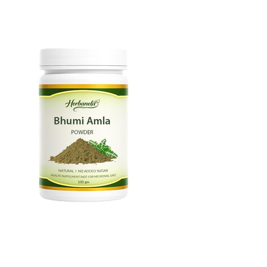 bhumi-amla-powder-premium-herbal-powder--41VQ-feECOL.jpg