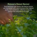 first-bud-organics-pure-stevia-drops-20m-61r9JF4F7FL.jpg