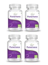 natures-velvet-lifecare-punarnava-pure-e-81o3iLP3QRL.jpg