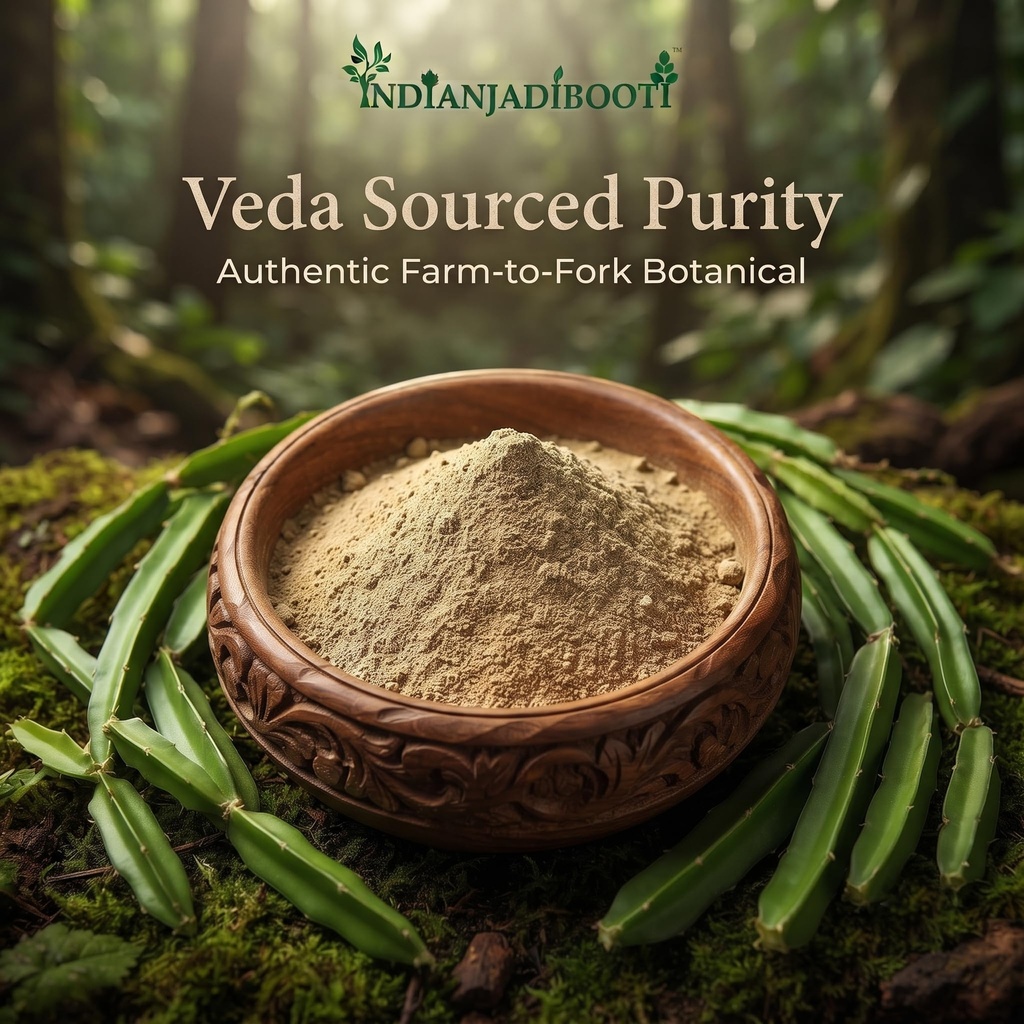 indianjadibooti-pure-hadjod-powder-cissu-816ZbXaoZlL.jpg