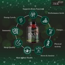 focus-ginseng-blend-1200mg-90-capsules-f-611+Vt-KrgL.jpg