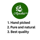 neem-seeds-azadirachta-indica-nimboli-ne-51FOlgWe-EL.jpg