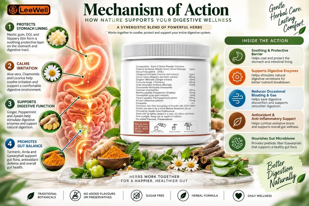 ayurvedic-leaky-gut-repair-supplement-he-81g47bHvn9L.jpg