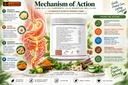 ayurvedic-leaky-gut-repair-supplement-he-81g47bHvn9L.jpg