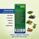 mds-herbs-diabaherb-liquid-with-jamun-ka-71puqfspZkL.jpg