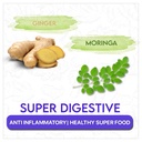 blue-tea-ginger-moringa-tea-bags-18-tea--61kFeryK7WL.jpg