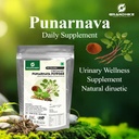 grandhike-organic-punarnava-powder-churn-61TyFNsE8rL.jpg