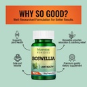 morpheme-remedies-boswellia-shallaki-500-61WkZLUrYiL.jpg